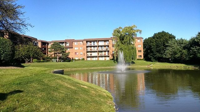 1st image of 51 Old Oak Dr APT 313