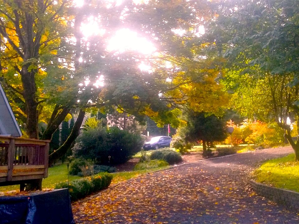Driveway - facing South