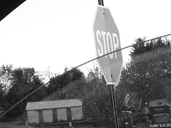 5th image of 14 Moreland Ct