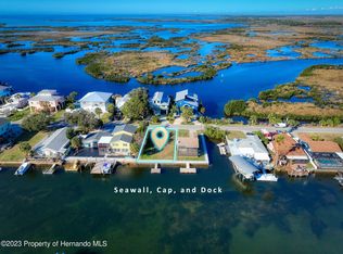 3482 Eagle Nest Dr, Spring Hill, FL 34607