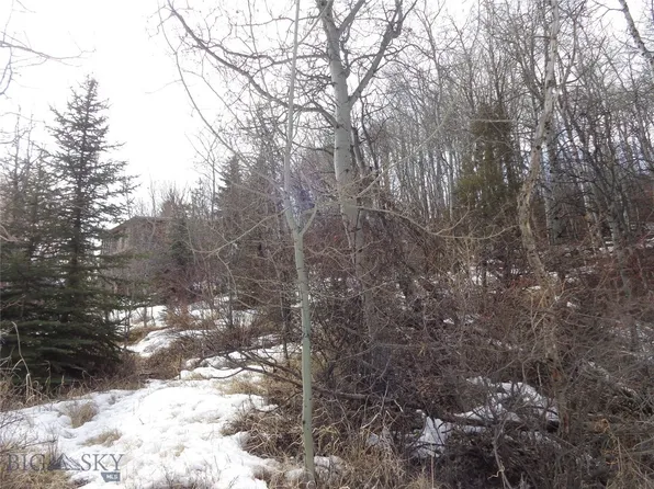 Copper Rd, Anaconda, MT 59711