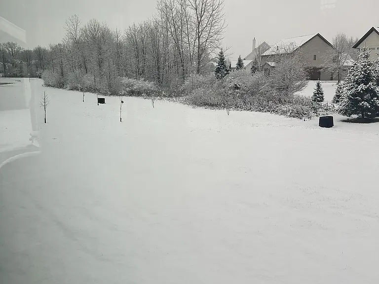 Beautiful winter view with a serene blanket of snow