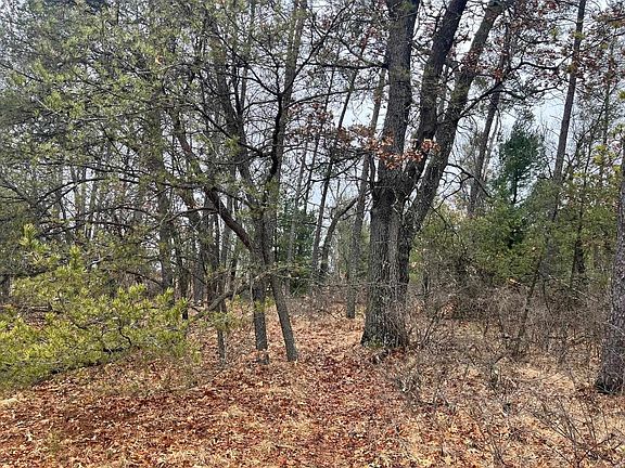 4th image of 5.99 Ac State Road 13 #1