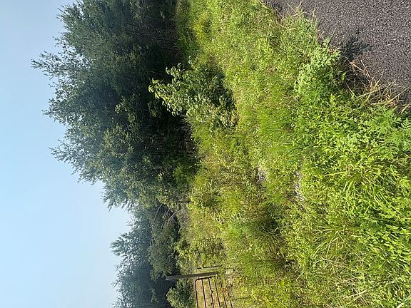 4th image of 0 Alexander Rd