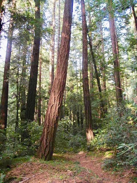 1st image of 0 Back Rd