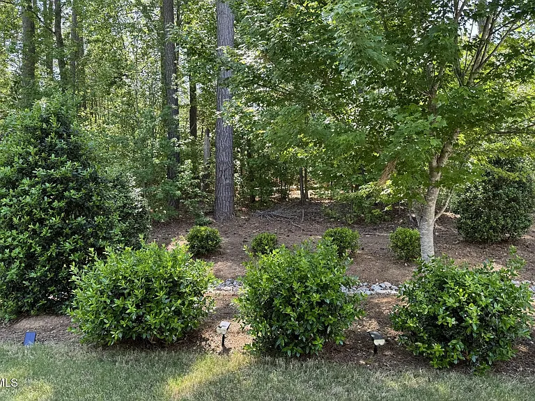 224 Myatt Fern Dr — Photo 40