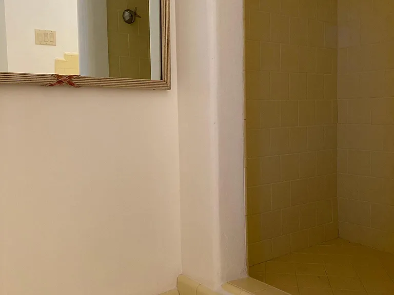 Shower (period tiles)