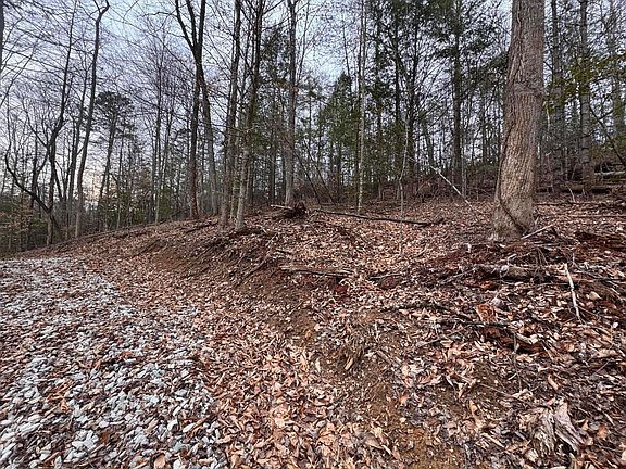 2nd image of 55 Ridge Rd