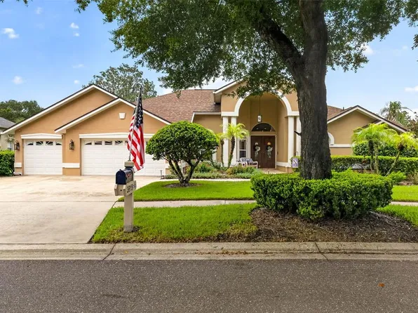 3918 S NINE DRIVE, VALRICO, FL 33596