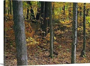 4532 Lexington Dr, Pleasant Hill, IA 50327