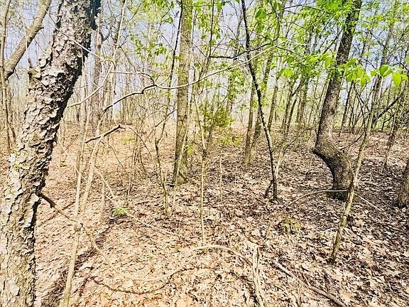 2nd image of 0 T Johnson Rd NE