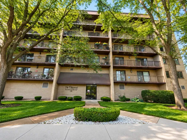 1380 Oakwood Ave APT 204, Des Plaines, IL 60016