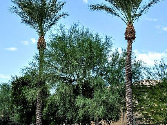 Luxury Scottsdale Community in an Excellent Location!