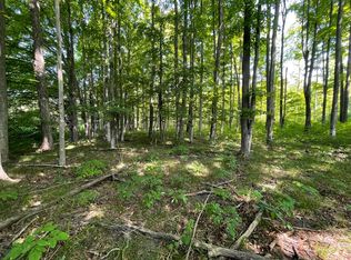 17 Marsh Rd, Kingsley, MI 49649