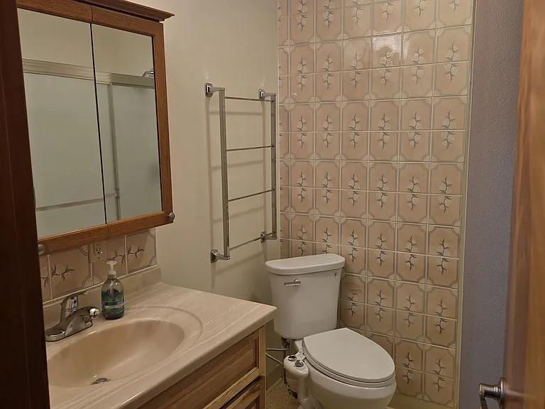 Hall Bath with tub and shower