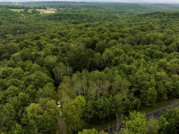 614 Sawdey Rd, Beaver Dams, NY 14812