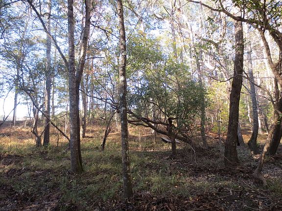 4th image of 1304 Highway 589 Lot Wp001