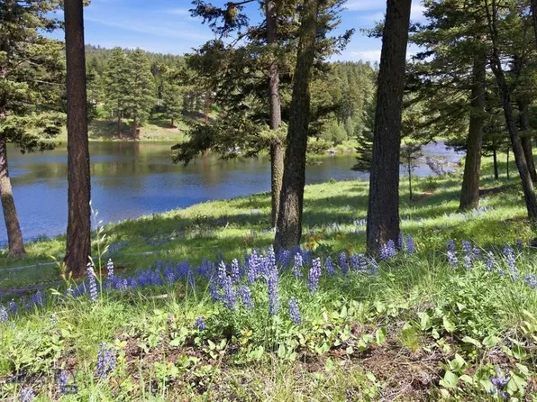 LOT 3 Big Waters Ranch Rd, Seeley Lake, MT 59868