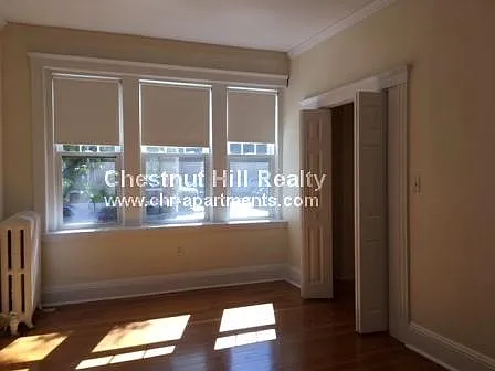 115 Kilsyth Rd #3 — Photo 5