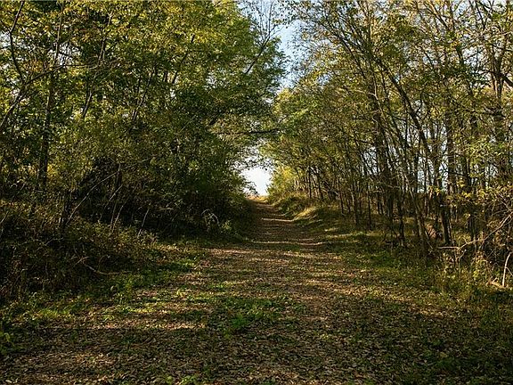 2nd image of New Market Cemetery Rd