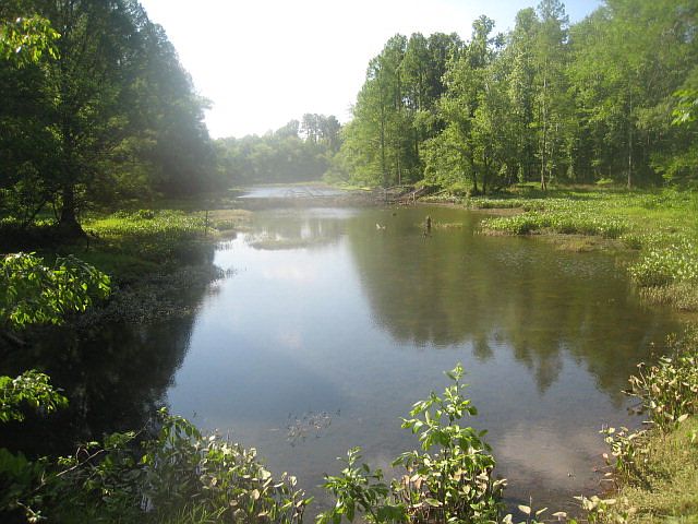 1st image of 141 Creek Dr
