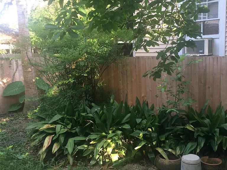 5526 Camp St — Photo 11