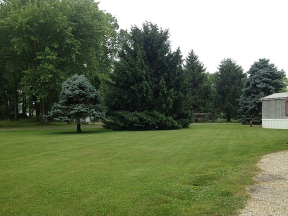 4th image of 81 Gray Street