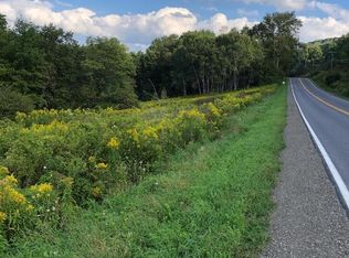 277 Walter Pomeroy Rd, Franklin, NY 13775