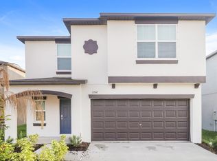 17847 Blissful Stars Dr, Lutz, FL 33558