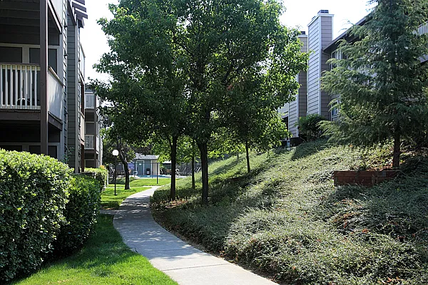 The Pointe Apartment Homes — Photo 11