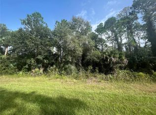 118 Laisy Dr #27, Georgetown, FL 32139