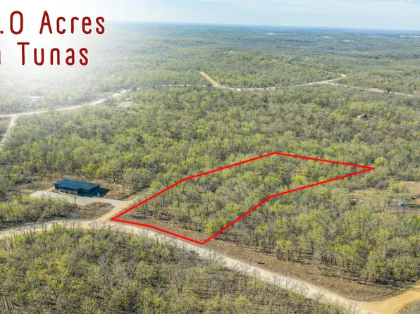 4 Pecan Trail, Tunas, MO 65764