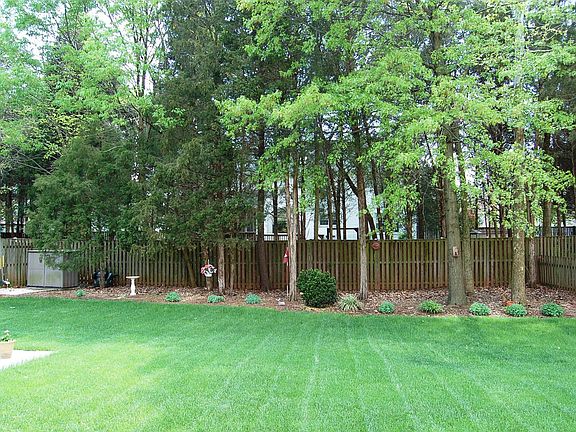 TERRIFIC BACKYARD