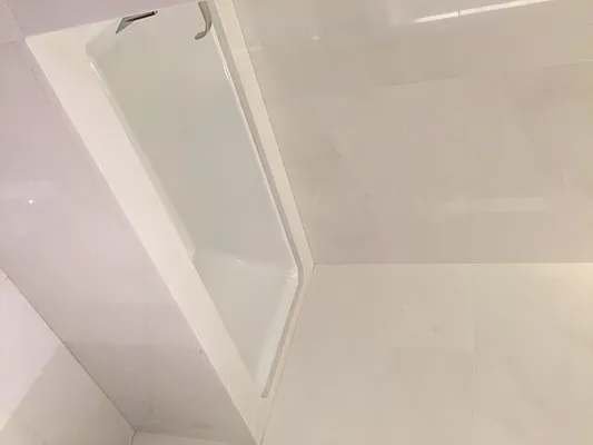 Rented by Furumoto Realty of New York City Inc | media 45