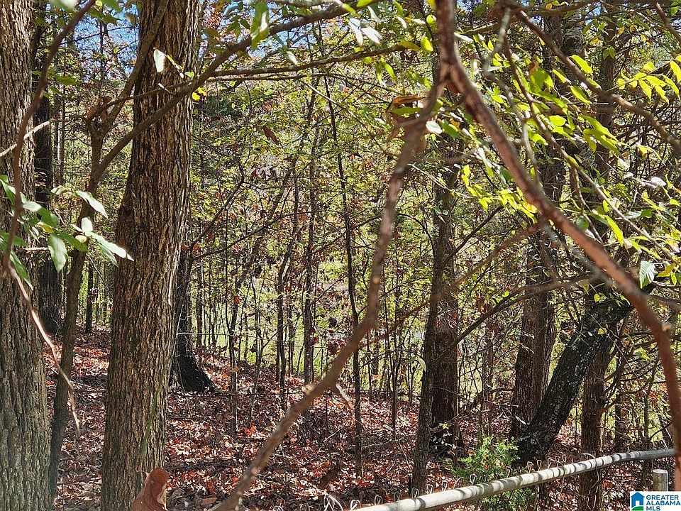 2nd image of 397 Chicksaw Trl #17