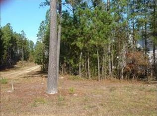 22 Race Stable Ct, Lugoff, SC 29078