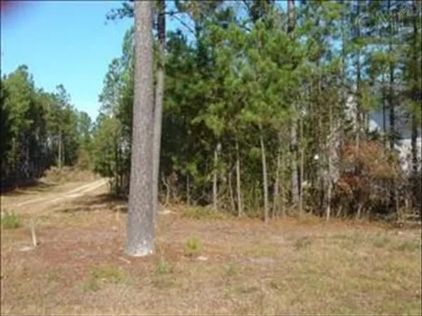 22 Race Stable Ct, Lugoff, SC 29078