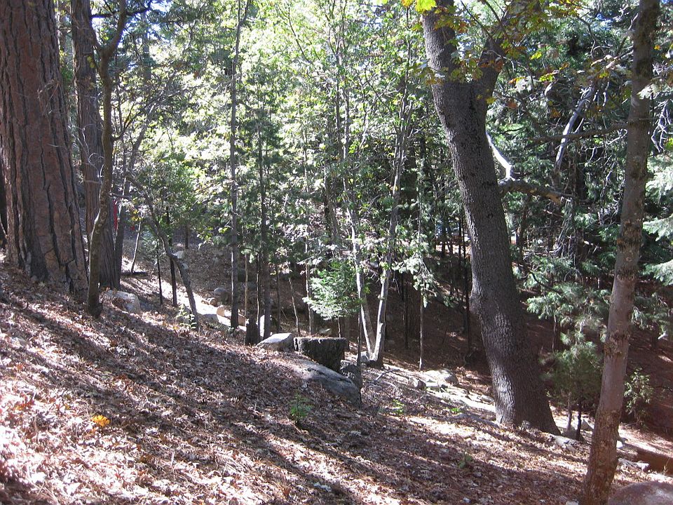 1st image of Mecham Dr