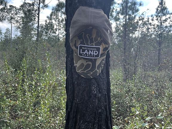 5th image of 71 Acres 0 Jack Springs Road