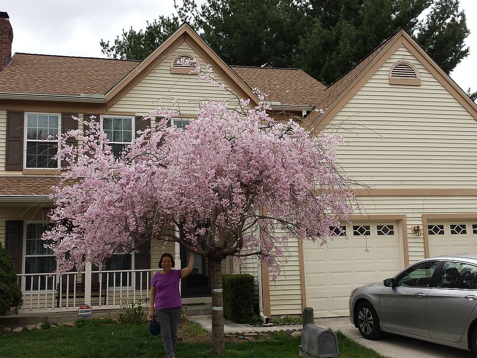 2nd image of 810 Whitehall St