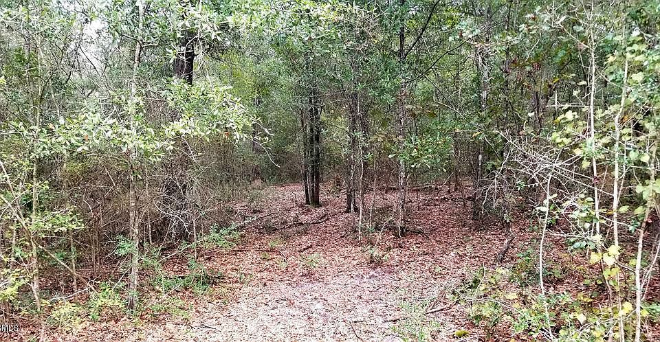1st image of 270 Wildflower Cir