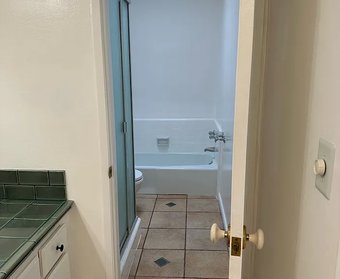 Master bathroom