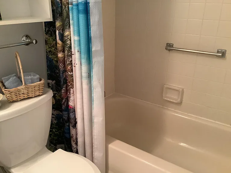 Tub in guest bathroom