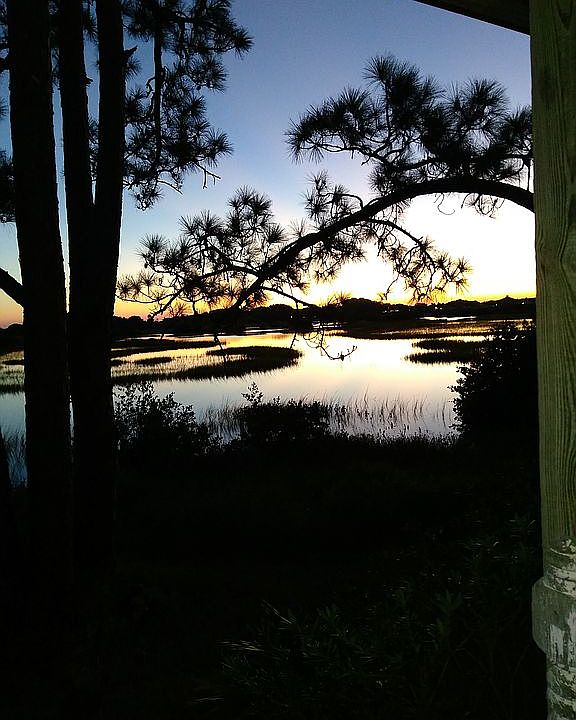 View from the porch/dining