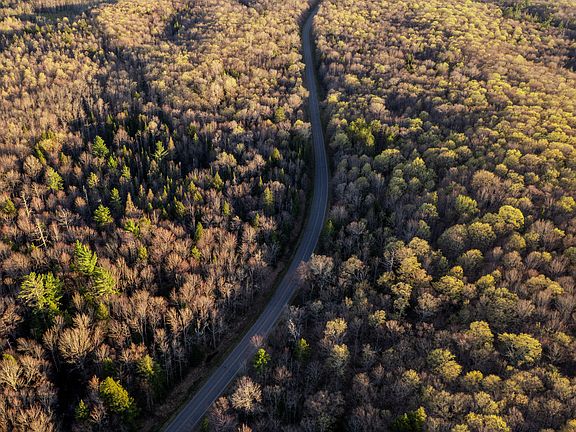 3rd image of 2 Federal Forest Hwy #16
