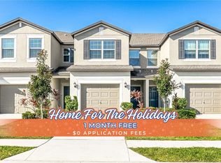 10109 Tabasco Cat Ct, Ruskin, FL 33573