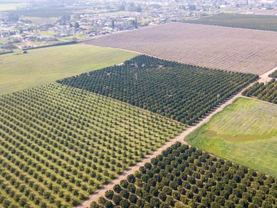 Ave 100/rd 244, Terra Bella, CA, 93270