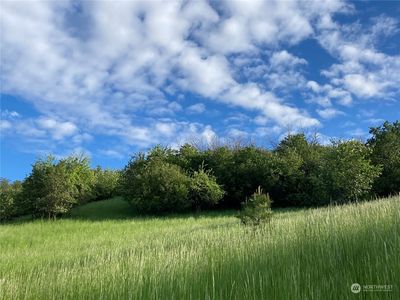 0 TBD Ring Canyon Road, Dayton, WA, 99328