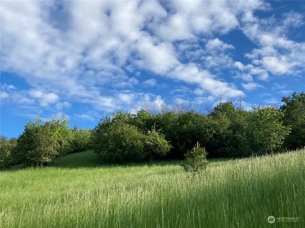 0 TBD Ring Canyon Road, Dayton, WA 99328
