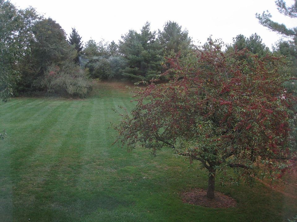 Rear of the House